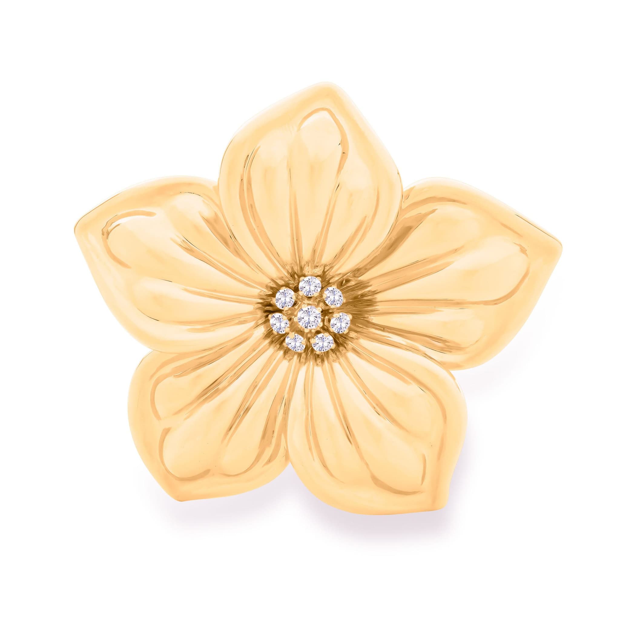 Product View 1