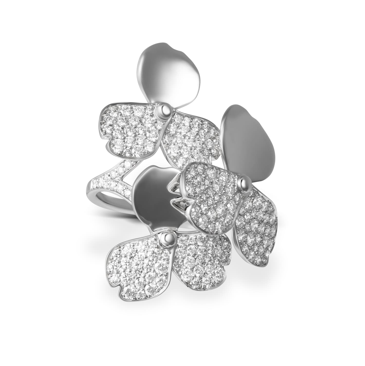 Product View 1