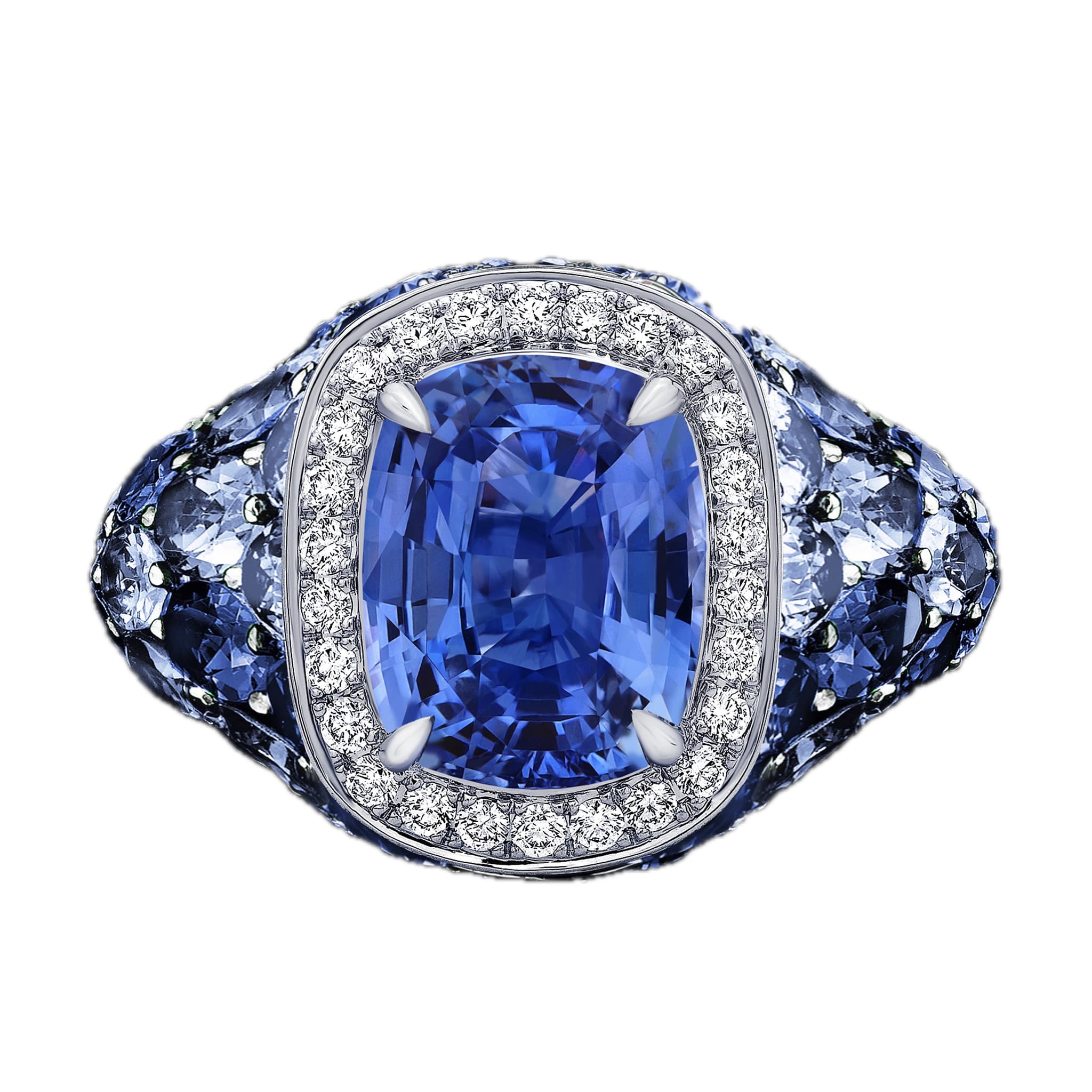 Product View 1