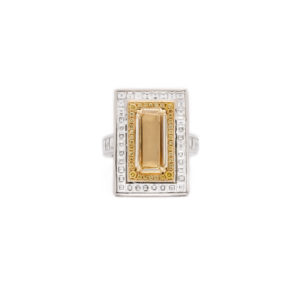 Robert Procop 18k Yellow Gold and Platinum Diamond Halo Ring